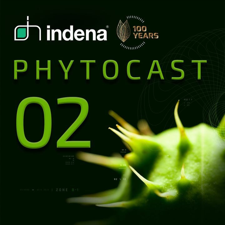 Phytocast 02: Quality and reliability