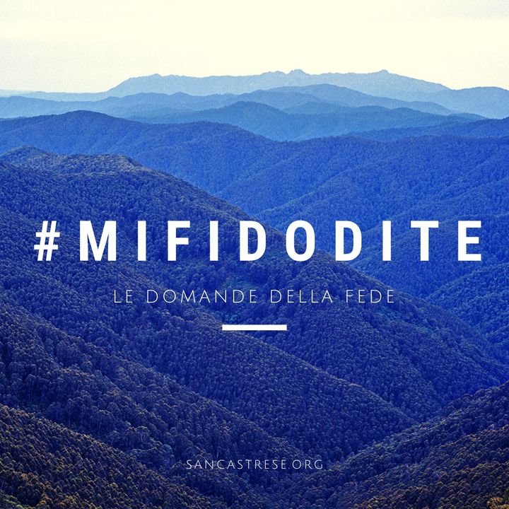#mifidodite
