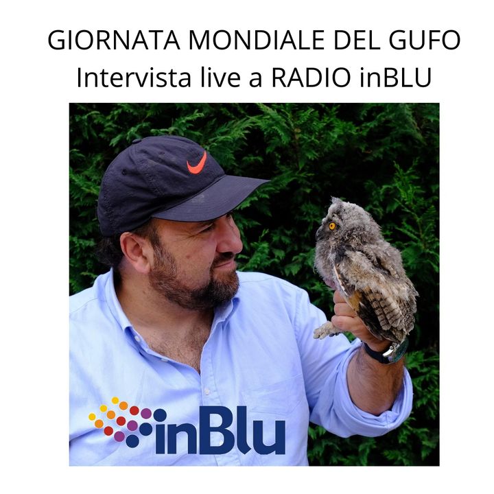 GIORNATA MONDIALE DEL GUFO INTERVISTA A MARCO MASTRORILLI RADIO INBLU