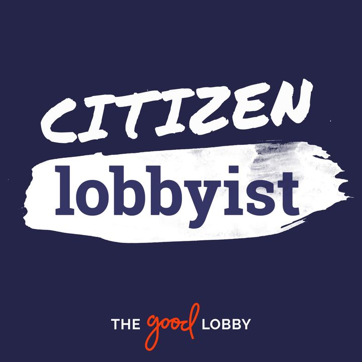 Citizen Lobbyist