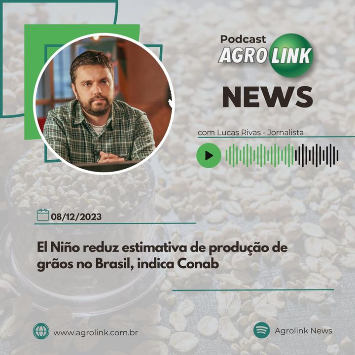 Paraná encerra plantio de milho em 312 mil hectares