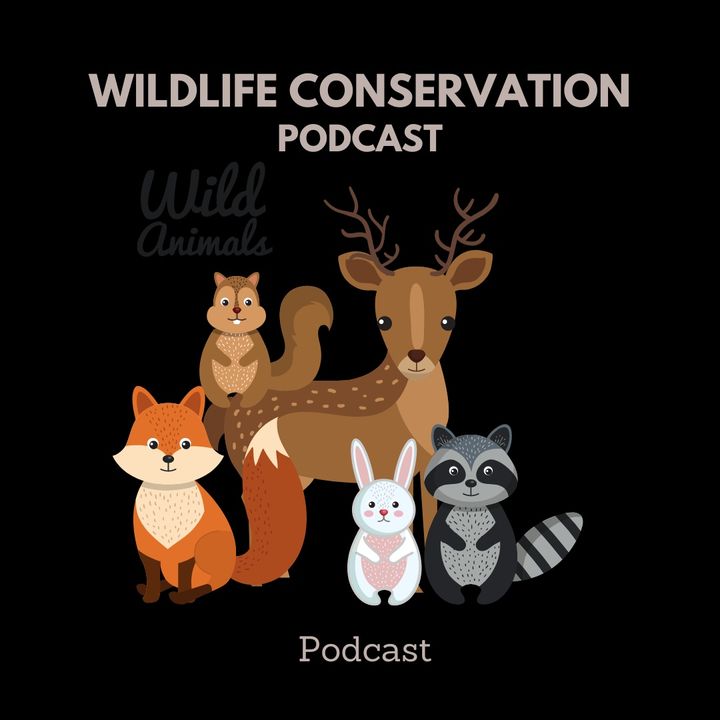 Wildlife Conservation podcast