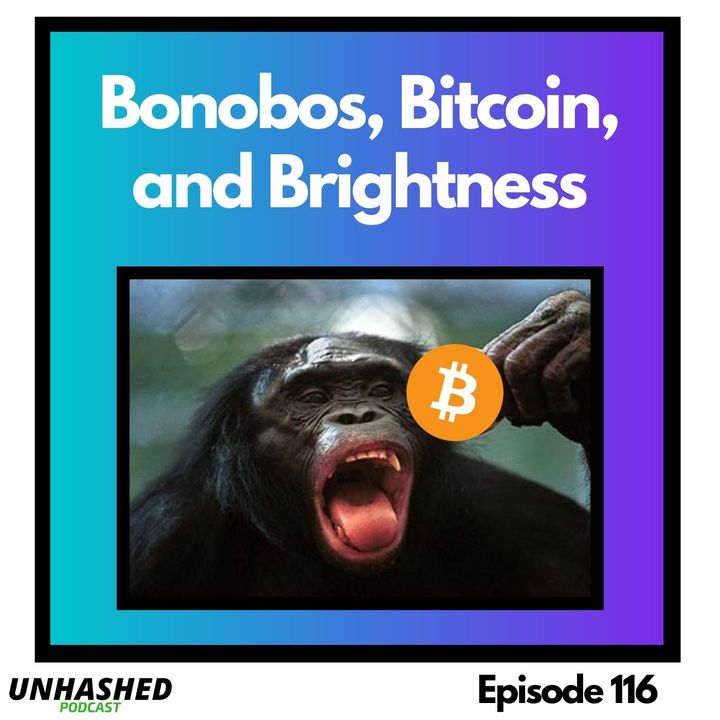 Bonobos, Bitcoin and Brightness