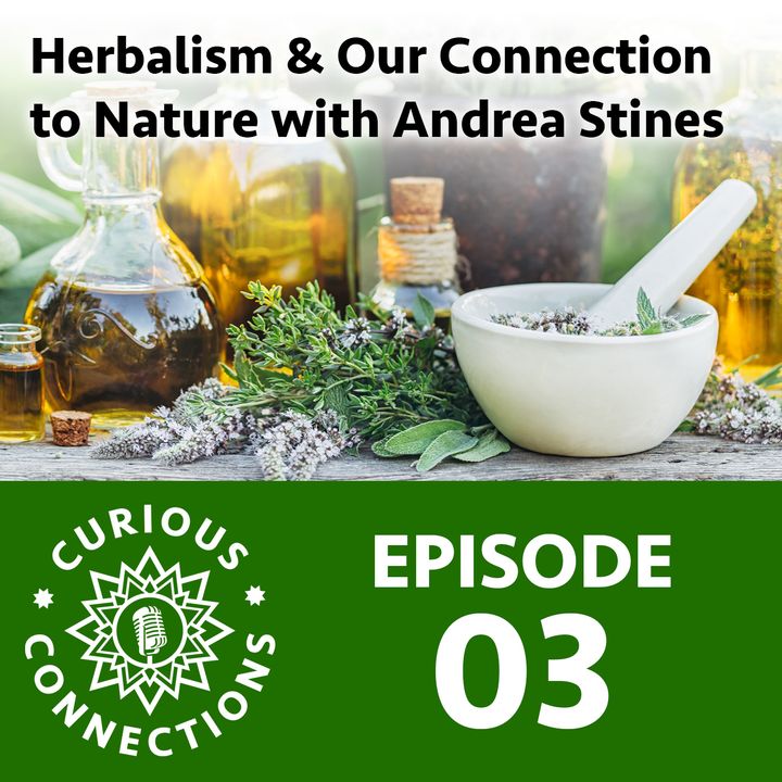 Herbalism and Our Connection to Nature with Andrea Stines