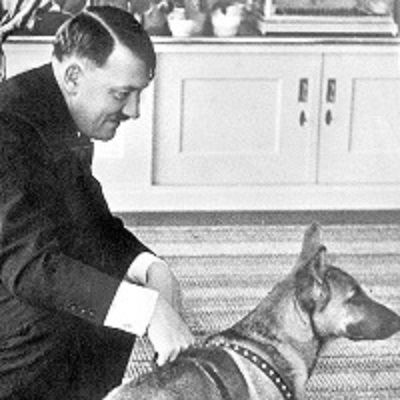 Lettere alla redazione: che Hitler fosse un animalista può piacere o non piacere, ma è confermato dal fatto che con una delle sue prime legg