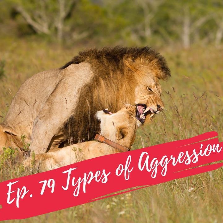 Ep. 79 Types of Aggression