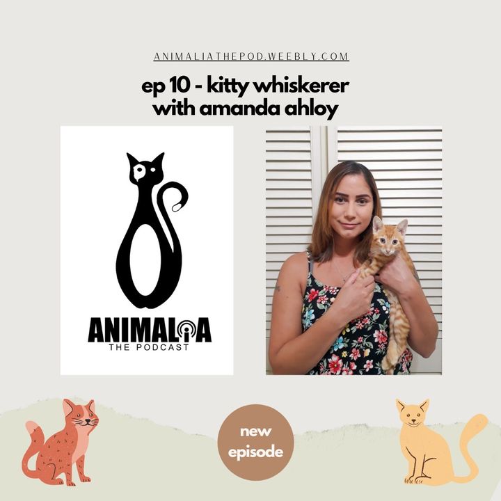 ANIMALIA 10 - Kitty Whiskerer - 16Oct20