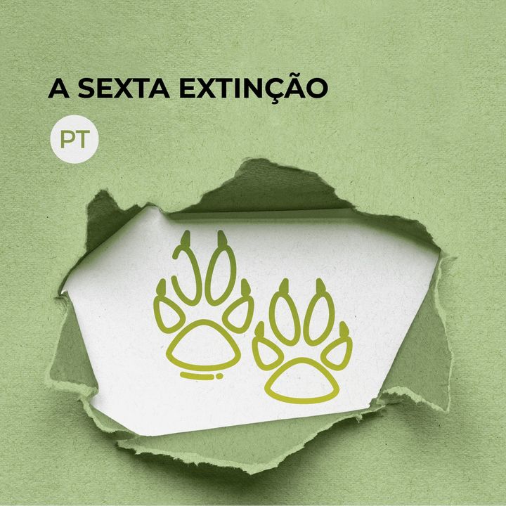 A sexta extinçao