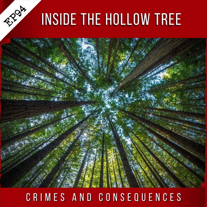 EP94: Inside the Hollow Tree