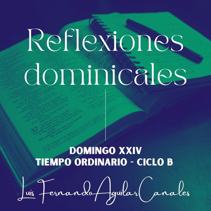 Domingo XXIV TO. - CICLO B