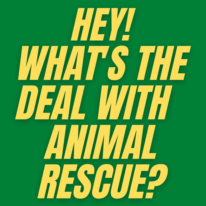 S1 E6 - What's the Deal with Animal Rescue?
