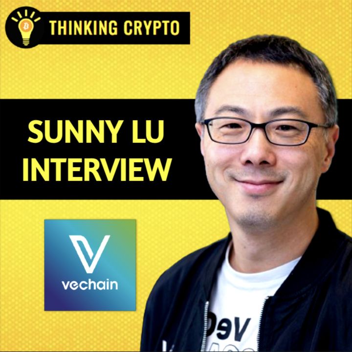 Sunny Lu Interview - VeChain's Massive Web3 Sustainability Plans! VET & VeThor Token Updates