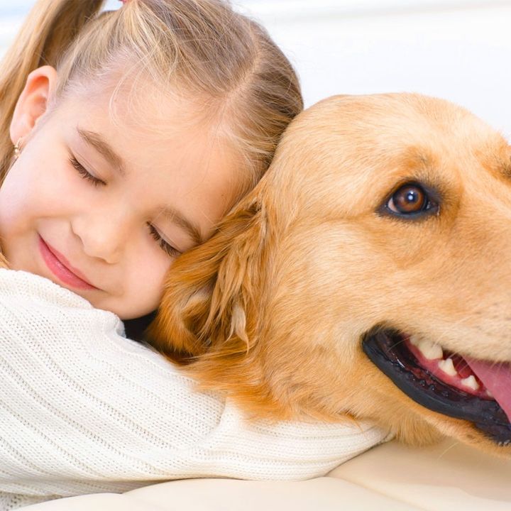 Curare con gli animali la Pet therapy