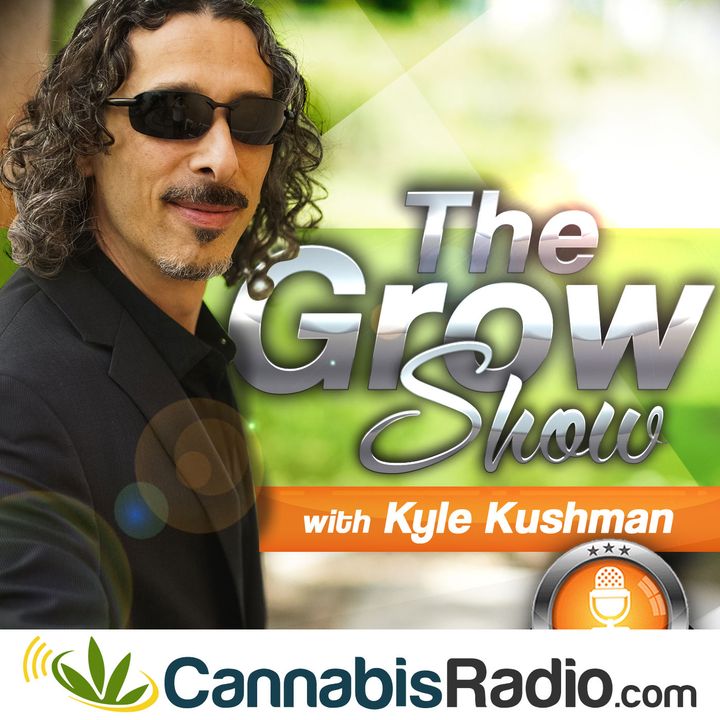 Nurse Heather Grows on Cannabis Radio