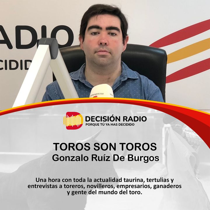 Toros son toros