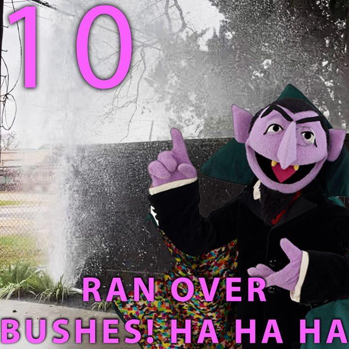 Quick Bite: Counting bushes with Elia and ‘The Count’