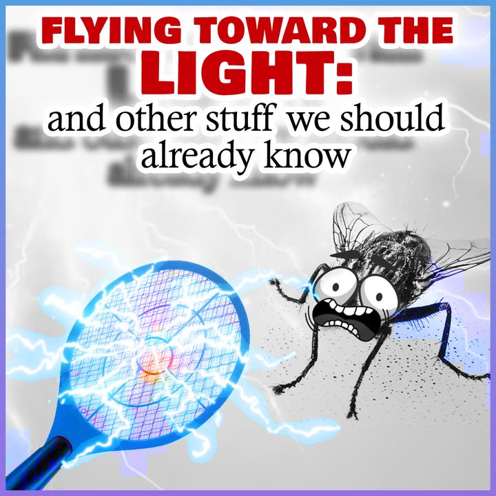 Flying Toward the Light: and Other Stuff We Should Already Know
