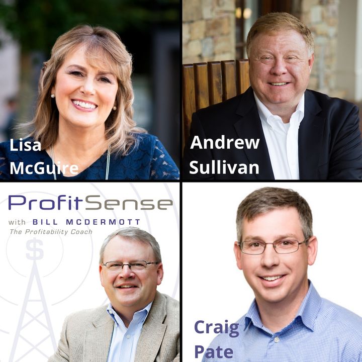 ProfitSense with Bill McDermott, Episode 14: Lisa McGuire, Marketing Consultant; Andrew Sullivan, Sullivan and Schlieman Wealth Management;