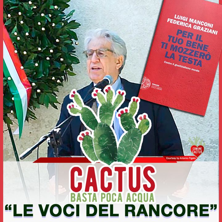 Cactus #11- Le voci del rancore - 14/12/2020