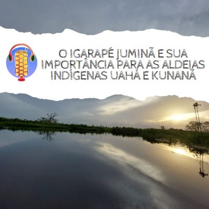 #04 O Igarapé Juminã e sua importância para as aldeias indígenas Uahá e Kunanã