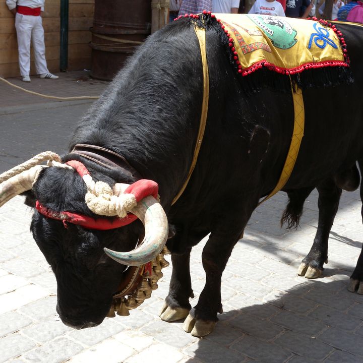 Viaja con Machín: Fiestas de San Marcos de Beas de Segura (Jaén)