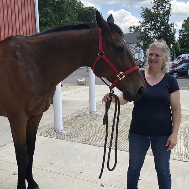 Interview with Carla Plegge from One Heart Stables CCHO Equine Therapy