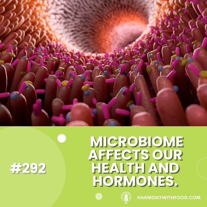 Microbiome Affects Our Health And Hormones
