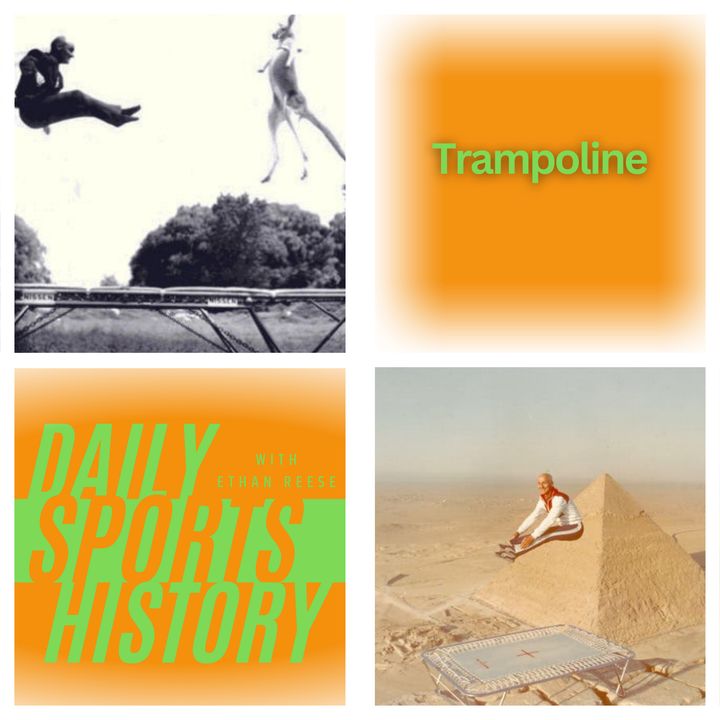 The Trampoline: Bouncing into Innovation