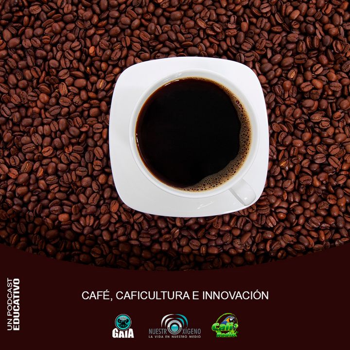 NUESTRO OXÍGENO Café caficultura e innovación - Ing. Javier Hoyos García
