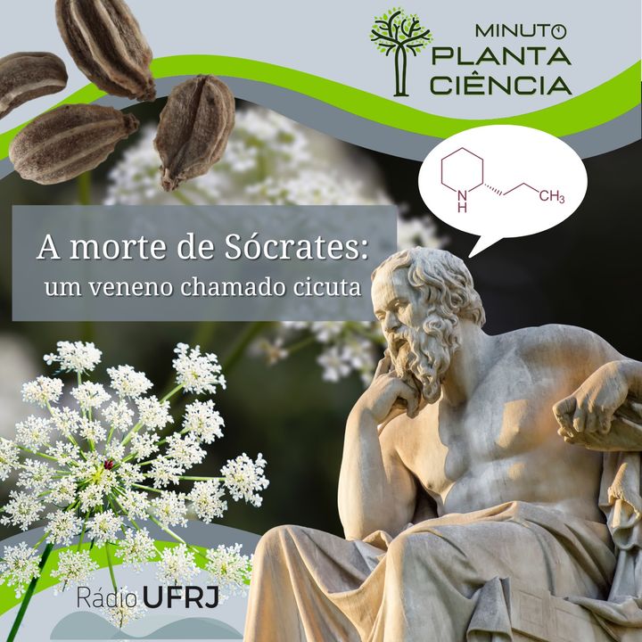 Minuto PlantaCiência - Ep. 18 - A morte de Sócrates (Rádio UFRJ)
