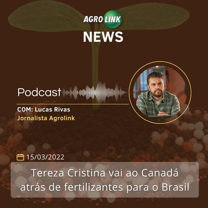 Canadá autoriza início da importação de carne brasileira