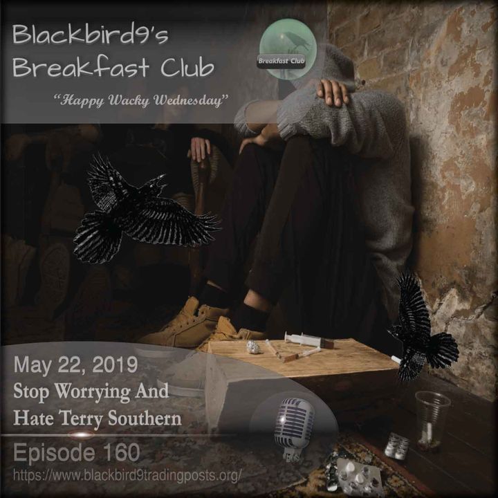 Stop Worrying And Hate Terry Southern - Blackbird9 Podcast