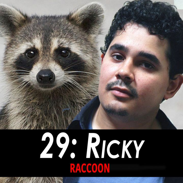 29 - Ricky the Raccoon