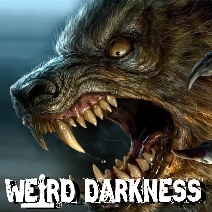 “ARE THERE REAL WEREWOLVES IN CENTRAL ENGLAND?” More Terrifying True Horrors! #WeirdDarkness