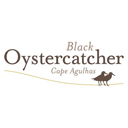 Black Oystercatcher - Dirk Human