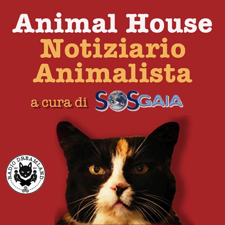 Animal House - Notiziario Animalista