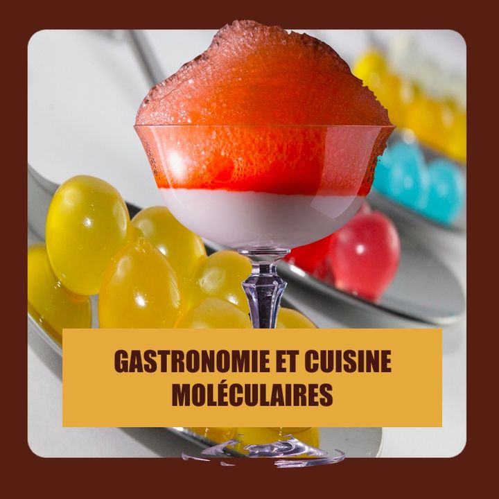 Gastronomie et cuisine moléculaires