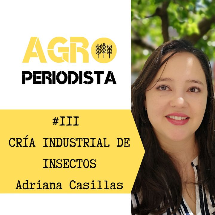 #3. Cria industrial de insectos, con Adriana Casillas
