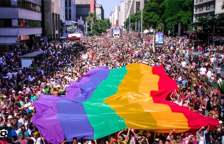 LGBTQIAPN+: expandindo a compreensão sobre diversidade sexual e de gênero