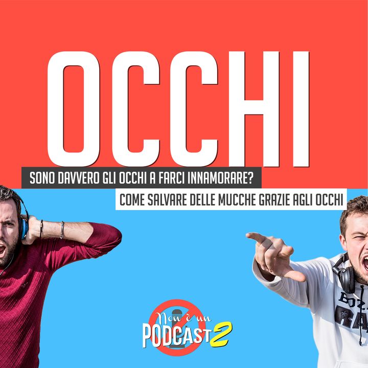 Podcast #28: OCCHI