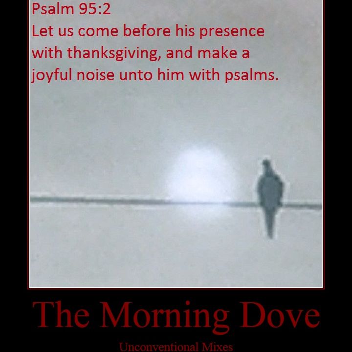 The Morning Dove (Previews)