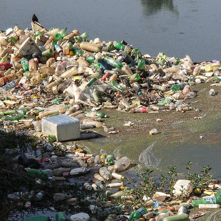 El impacto del plástico en aguas continentales | El atlas de la biodiversidad #05