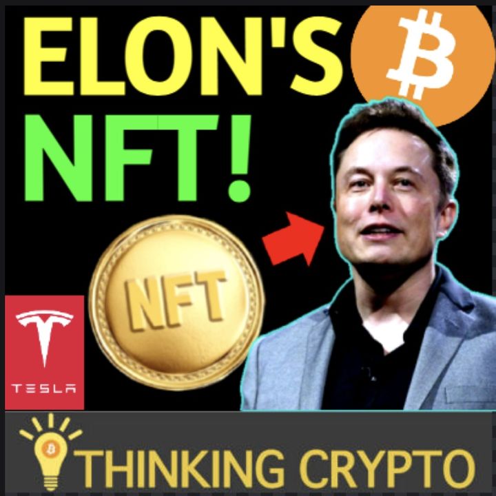 Elon Musk Sells NFT - Tesla Master Of Coin - BTC Best Asset - Investview $1M in Crypto -