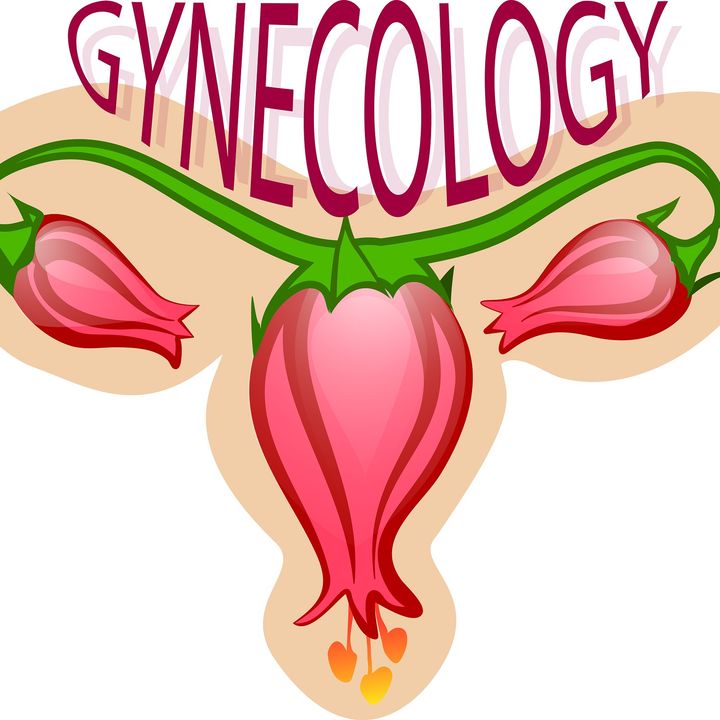 What Happens When You Visit Gynaecologists In London For A Vaginal Swab Test?