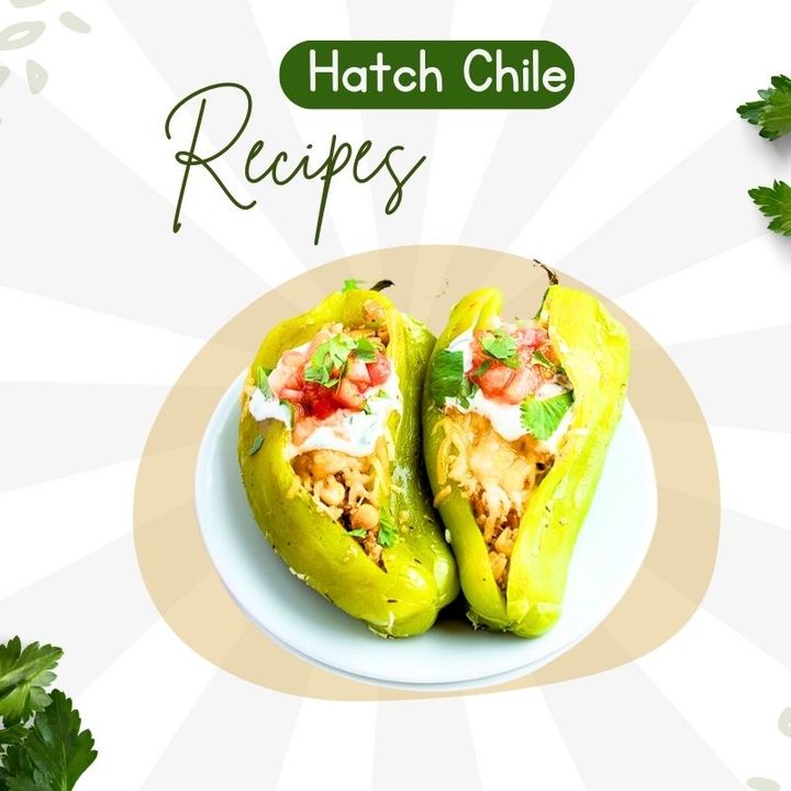 Delicious Hatch Chile Recipes - Spice Up Your Culinary Journey
