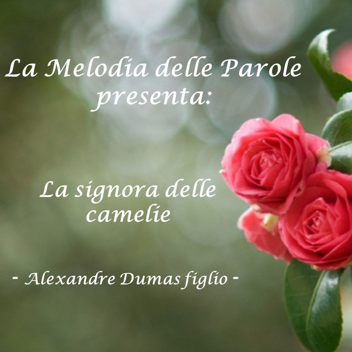 La signora delle camelie