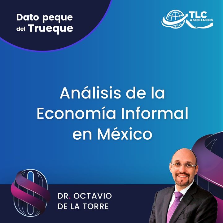 E195 Dato Peque del Trueque: Análisis de la Economía Informal en México