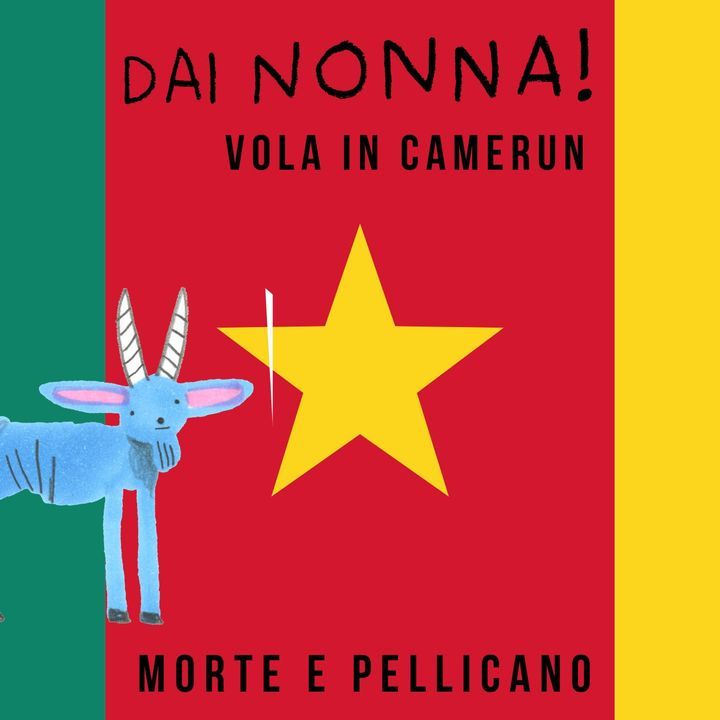 Morte e Pellicano - DN vola in Camerun