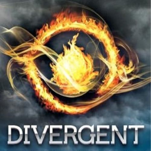 Banned Books Divergent by Veronica Roth