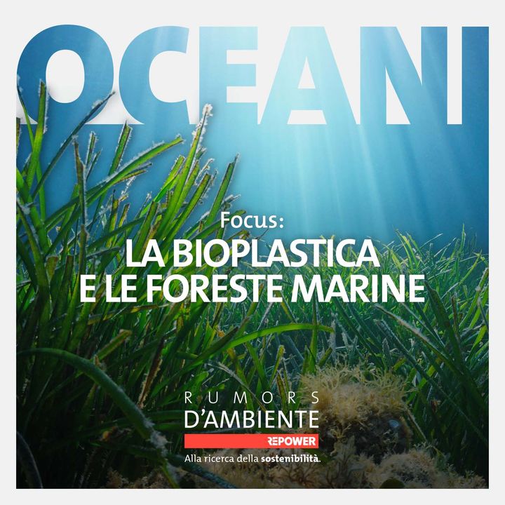 Focus: La bioplastica e le foreste marine